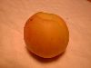 Apricot