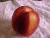Nectarine